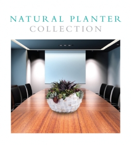 19natural-planter-collection-700x774_c